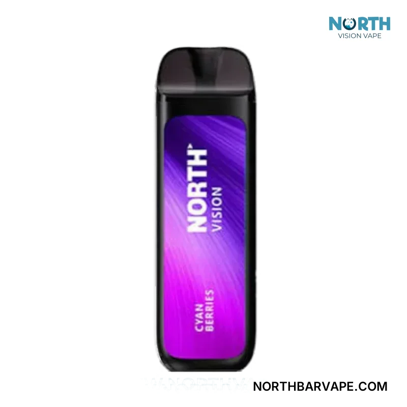 North Vision 15K Puffs Disposable Vape – Cyan Berries